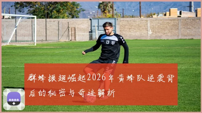 群蜂振翅崛起2026年黄蜂队逆袭背后的秘密与奇迹解析