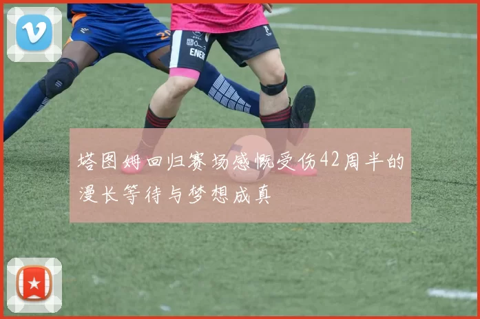 塔图姆回归赛场感慨受伤42周半的漫长等待与梦想成真