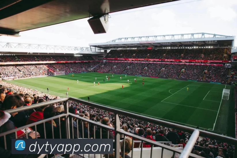 德赢体育APP发展历程